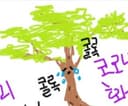 솔니파리