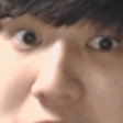 펭귄조비