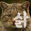 김삵