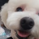 해광입니다