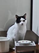 빵짱