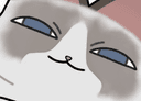 대드냥