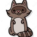 Raccoon 너구리