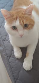 찾았다요녀석