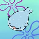 WhaleShark