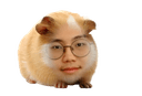 쟁구임