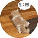 성 찬1