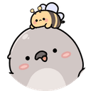 아카시아 0