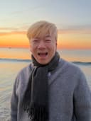 뽀순티비